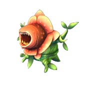 王花