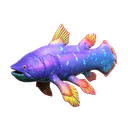 腔棘魚-鯊很大4