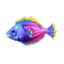 比目魚-鯊很大4