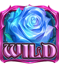 玫瑰(WILD)-冰雪女王